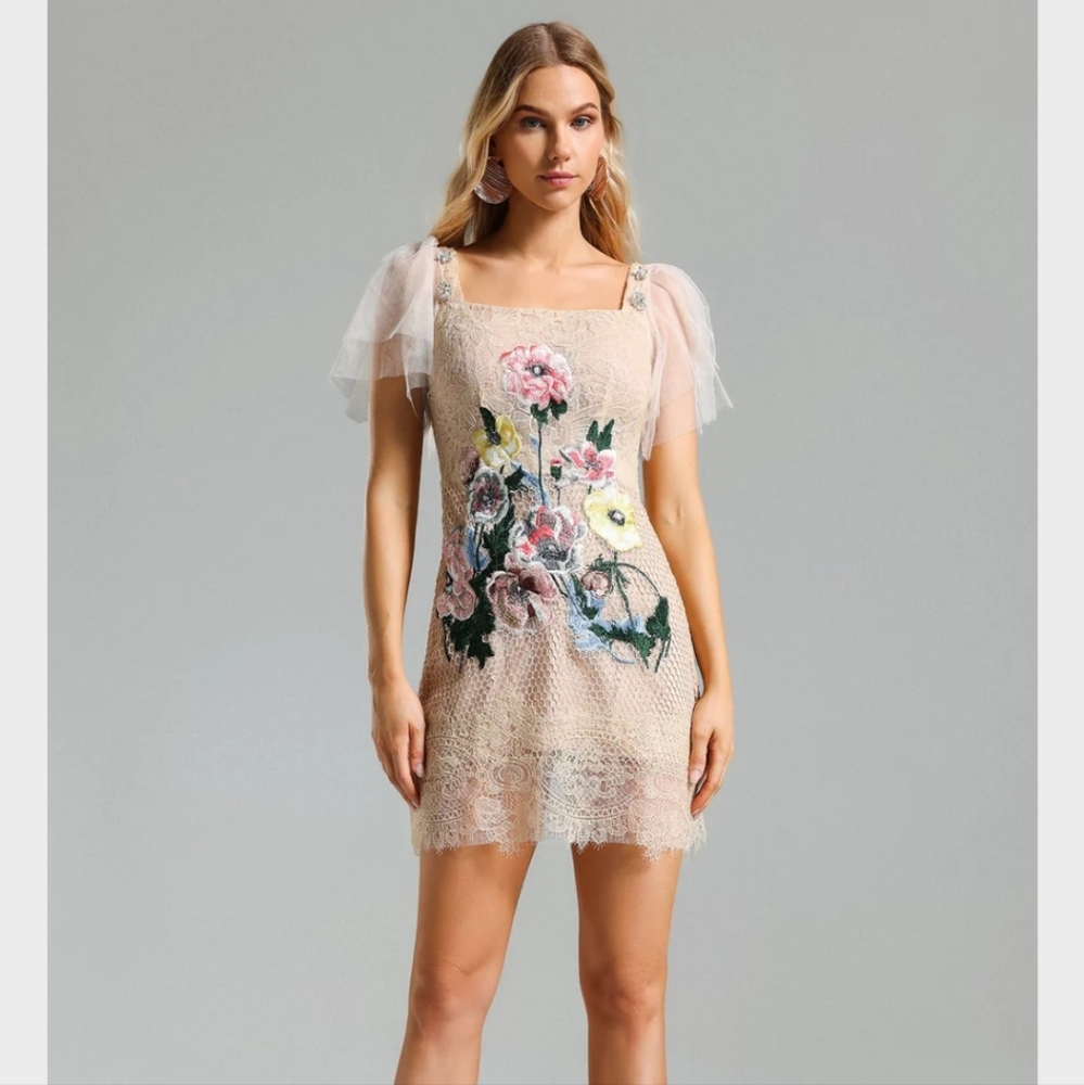 Flower Embroidery Lace Mini Dress